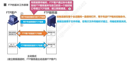 計算機網絡技術開發中的P6應用層 驅動未來互聯的核心引擎